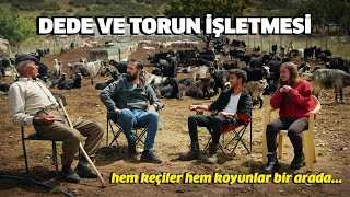 Dede Ve Torun İşletmesi̇ Dağların Ve Ormanların Gönüllü Bekçileri Çobanlar