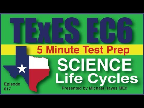 TExES EC-6 Science Life Cycles, Episode 17 [Free Test Prep]