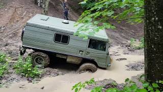 Pinzgauer 710MS (FG, May 2018)