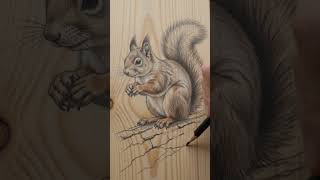 Realistic Squirrel Painting From Sketch to Acrylic Art