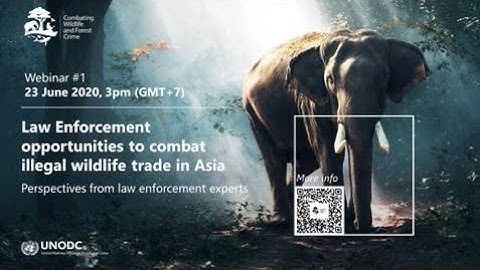 Webinar on combating illegal wildlife trade in Asia – 23 June 2020
