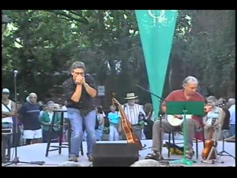 Sarah Jane Nelson - Stormy Blues (Green Show 2009)