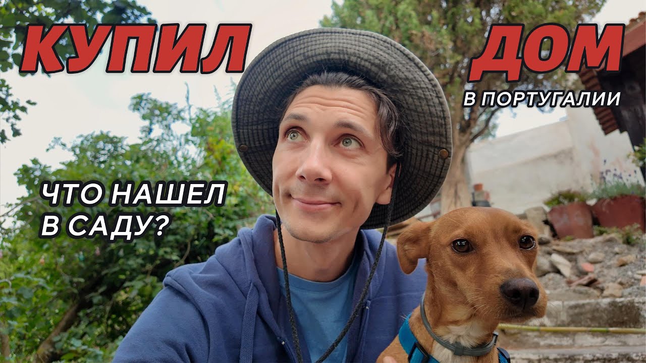 Купил дом в Португалии / Что нашел в саду / 4 выпуск