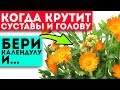 Неожиданный эффект календулы удивил даже врачей! Мигом отвалились грибок, гастрит, артрит и даже...