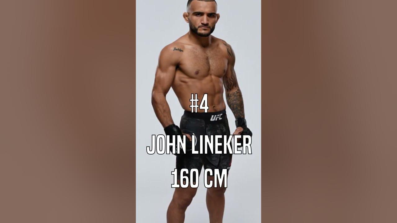 5-of-the-shortest-ufc-fighters-to-enter-the-octagon-youtube
