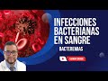 Bacteremias infeccin bacteriana en la sangre septicemia bacteriana