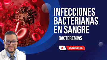 ¿Cómo eliminar las bacterias en la sangre?