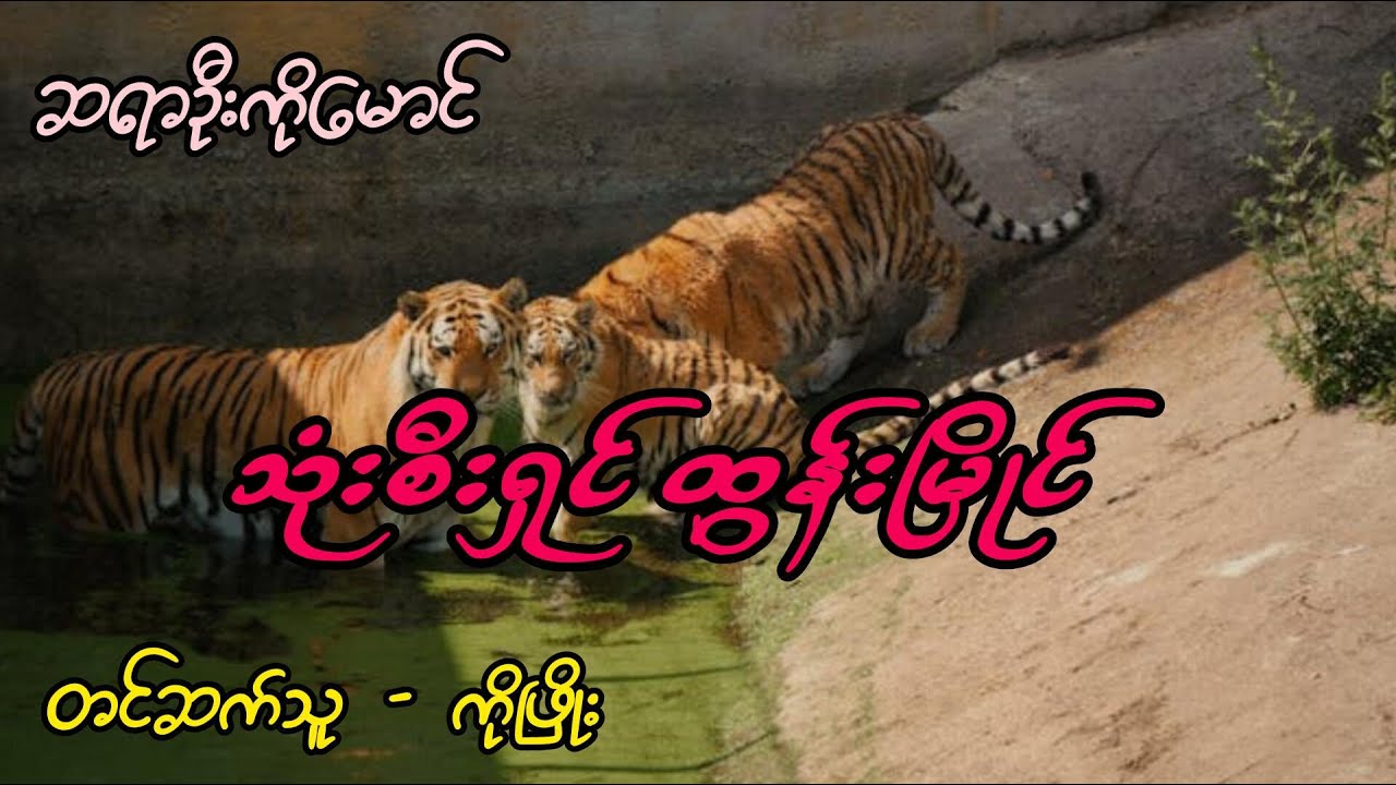 သုံးစီးရှင်ထွန်းမြိုင်