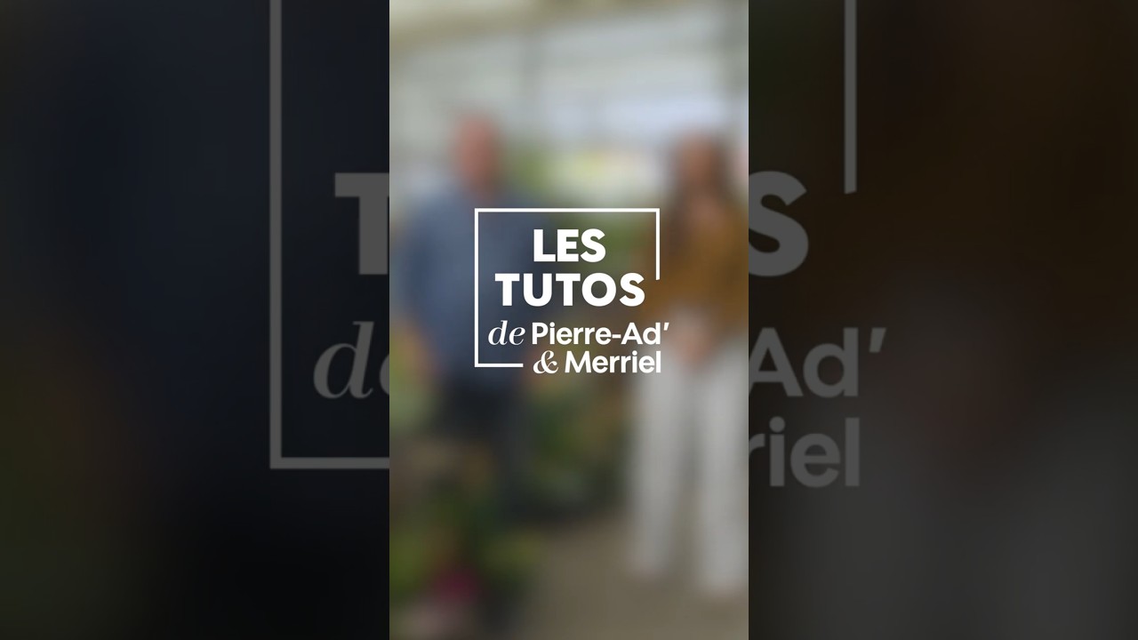 Envie de mettre de la couleur sur votre balcon cet automne ? Partie 1 - Truffaut