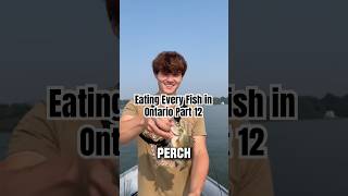 Catching and Cooking Every Fish in Ontario Part 12: White Perch #whiteperch #catchandcook #fishing