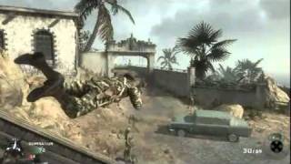 The Best Dolphin Dive Ever Black Ops