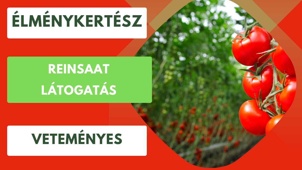 Látogatás a ReinSaat-nál, a biodinamikus vetőmagok otthonában🍅🫑🥒