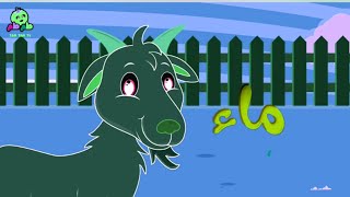 The Goat Animal /Tam Tam Tv Arabic  Effects Sponsored By Gamavision Effects
