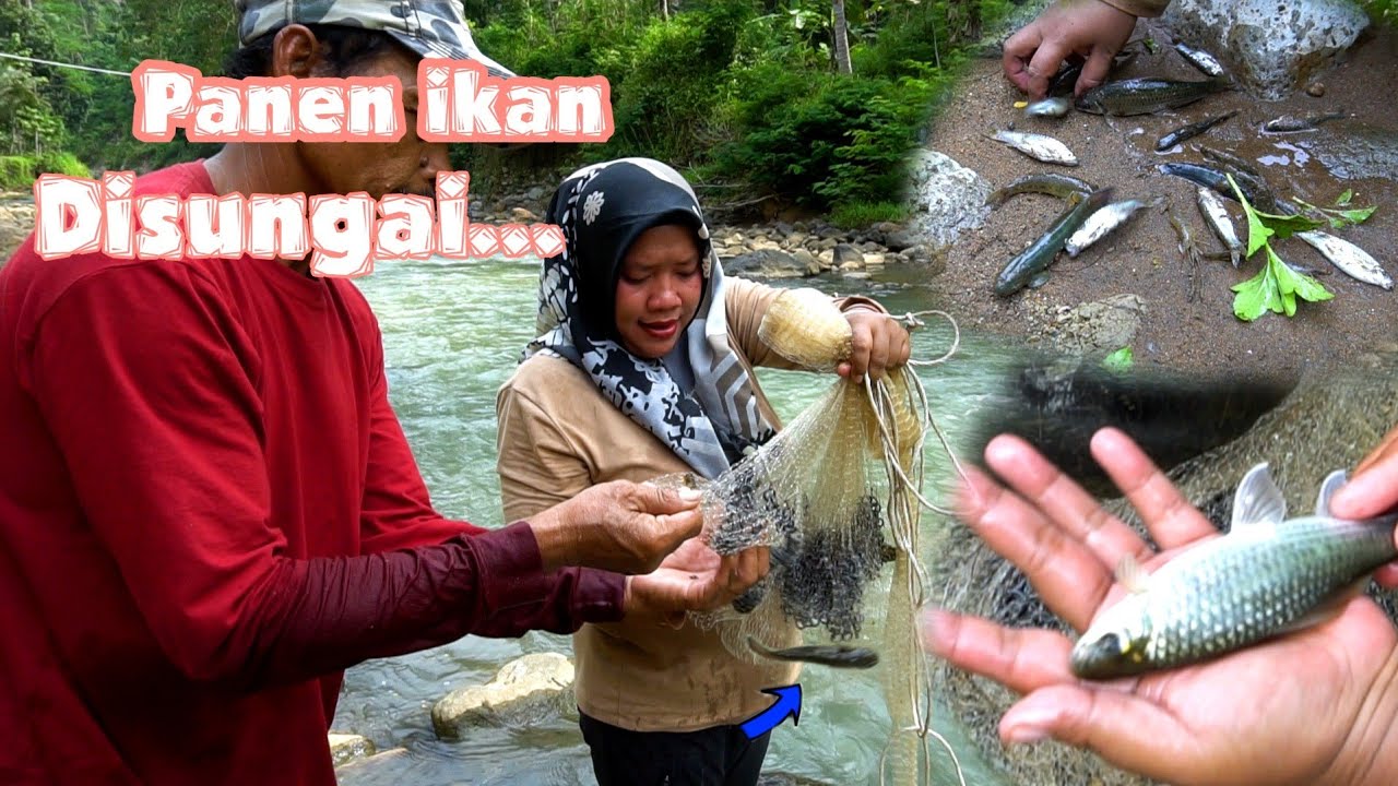 Ibu Enah Emang Hebat || Baru Belajar Ngejala Udah Dapet Banyak