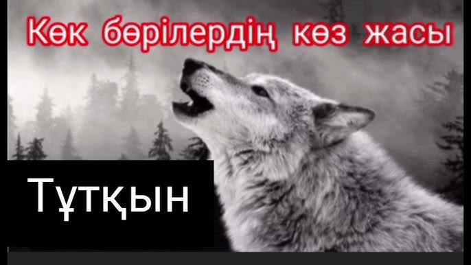 Порно секс машинасына қатысты