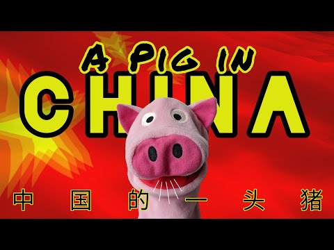 [A Pig in China] Vlog Episode #67 (10.04.2020) "A Pig in China: Xixi National Wetland Park&