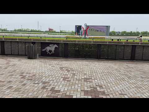 【京都新聞杯】【レッドジェネシス、ルペルカーリア】【川田将雅、福永祐一】#競馬#レッドジェネシス#川田将雅#ルペルカーリア#福永祐一