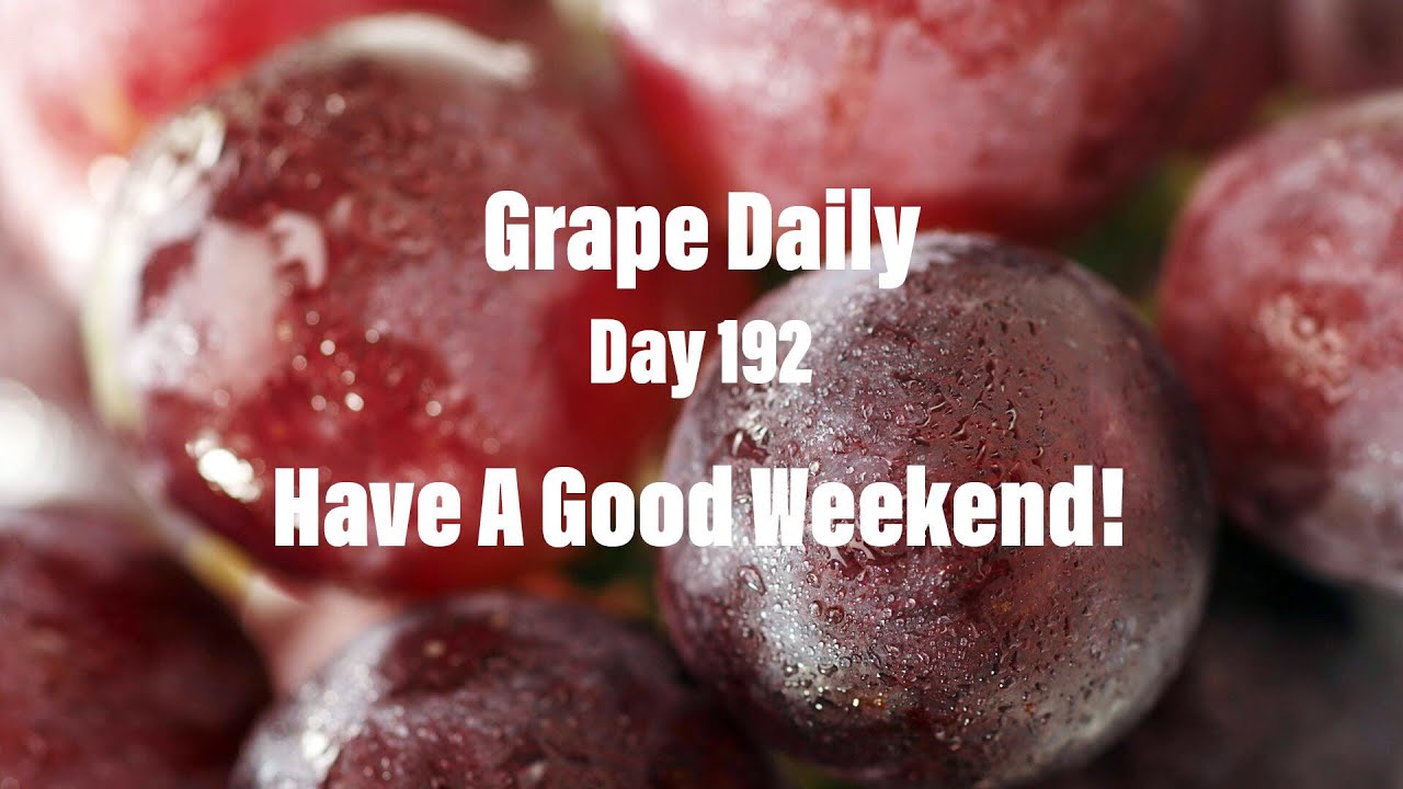 Grape Daily (DAY 192) YouTube