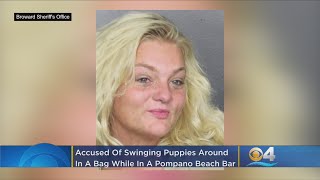 Florida Woman Charged With Abusing Puppies Stuffed Into Backpack