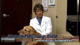 Post Operative Care