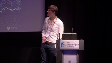 Effects of selective silencing of layer 5 pyramidal neurons on sleep-wake regulation - Lukas Krone