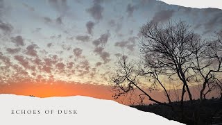 [Echoes of Dusk] Relaxing Music for focus, reflection, and meditation
