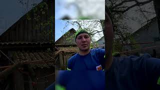 Как сделать натяжку ствола с помощью машины #shorts #арборист #спилдеревьев #арбористика