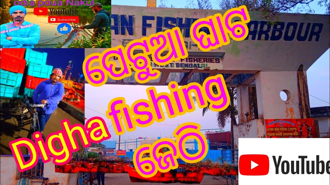 ଦୀଘା ପେଟୁଆ ଘାଟ fishing ଜେଠି।। fishing videos।।bass fishing।।tredning funny video