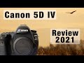 Canon 5D IV Review (Deutsch) -  Im 2021 noch eine Kaufempfehlung für Vogelfotografen?