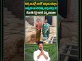 🌟 సంక్షేమ పథకాల పట్ల లబ్ధిదారుల సంతోషం...ఇందిరమ్మ ఇండ్లతో మునుపేరుగని సంబరం..!