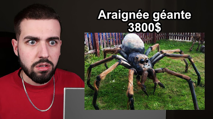 J'ai ACHETÉ une ARAIGNÉE INTERDITE sur le DARKNET dans la VRAIE VIE ! 😨 Je ne m'attendais pas à ça…
