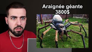 J'ai ACHETÉ une ARAIGNÉE INTERDITE sur le DARKNET dans la VRAIE VIE ! 😨 Je ne m'attendais pas à ça… screenshot 1