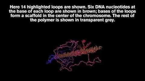 Solving chromosomes