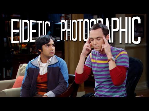 Eidetic vs Photographic Memory | Differences and meaning between the two