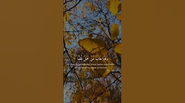 سورة طه |قران كريم |ارح سمعك |مقاطع انستا |حالات واتساب