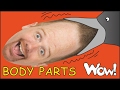 Body Parts for Kids + MORE English Funny Stories for Children | Steve and Maggie from Wow English TV