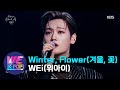 WEi 위아이 Winter Flower 겨울 꽃 Sketchbook KBS WORLD TV 210305 WEi 위아이 Winter Flower 겨울 꽃 Sketchbook KBS WORLD TV 210305