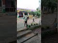 आओ पेड़ लगाए हम।