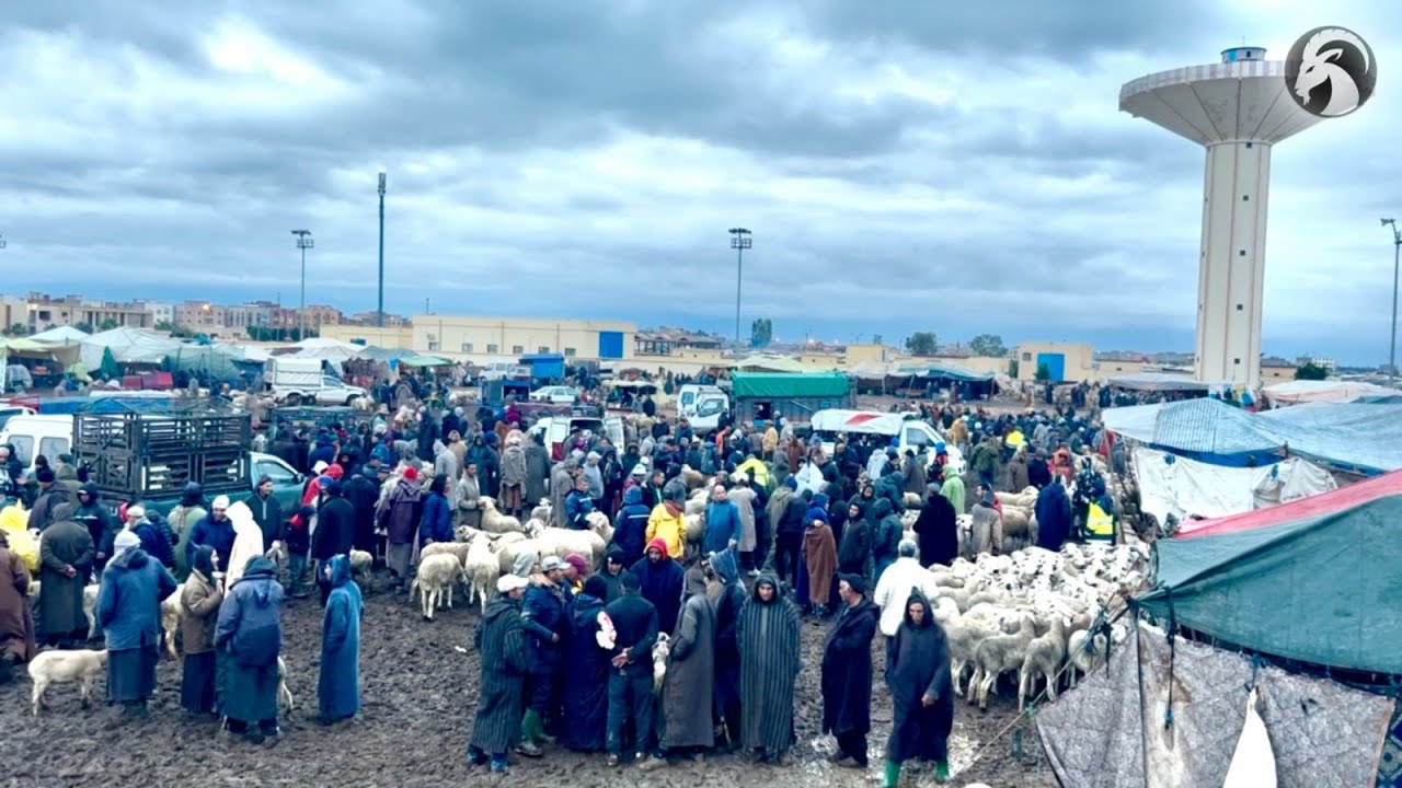 مرحبا بكم في فيديو جديد من قلب سوق الأربعاء الفقيه بن صالح بتاريخ اليوم 14/01/2026