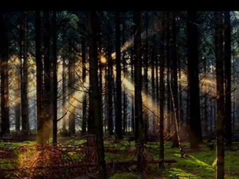 Emilia Noir - Herr Mannelig
