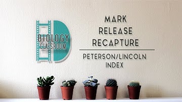 A-Level Biology - Mark-release-recapture and Peterson or Lincoln Index
