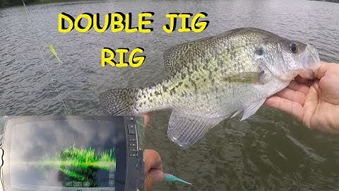 POST SPAWN CRAPPIE on the DOUBLE JIG RIG | LIVESCOPE