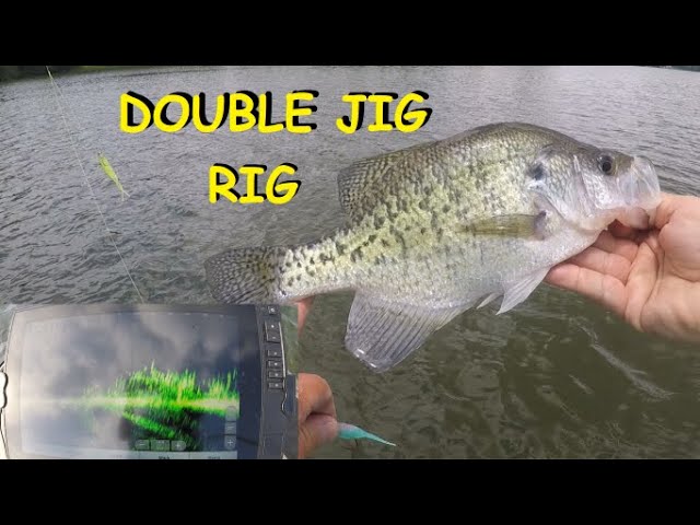 POST SPAWN CRAPPIE on the DOUBLE JIG RIG