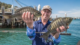 Download Lagu HOW TO CATCH BLACKFISH ON SPIN TACKLE! MP3