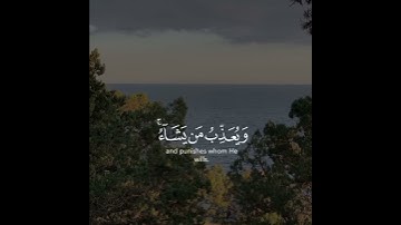 تلاوة هادئة تريح الأعصاب