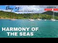 SNORKELING IN ST. THOMAS - Harmony of the Seas Day 5 Vlog