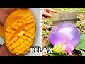 Fruit Slicer & Balloon Cut & Relaxing Video Collections Babili TV