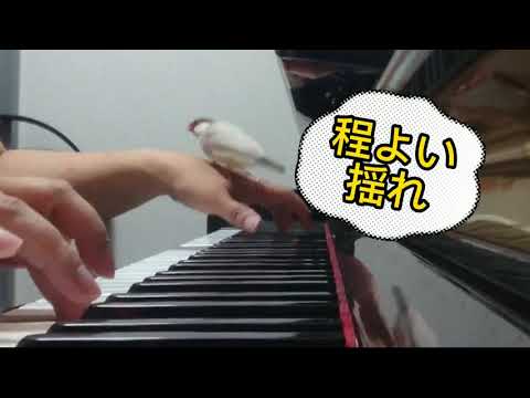 【フレア】Superfly  /  NHK連続テレビ小説  スカーレット 主題歌(ぷりんと楽譜) 趣味のピアノ時間