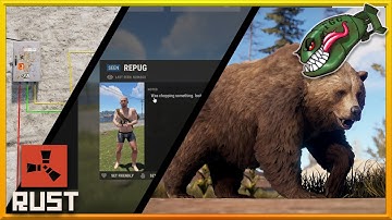 Rust Contacts Update | Colored Wires & Hose, New Animal Models, 1st Part of New A.I. & Contacts