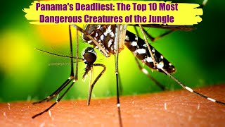 Panama's Deadliest: The Top 10 Most Dangerous Creatures of the Jungle
